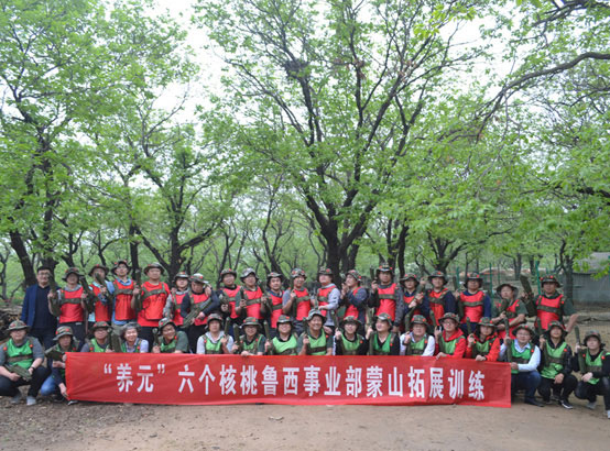 養(yǎng)元六個(gè)核桃魯西事業(yè)部